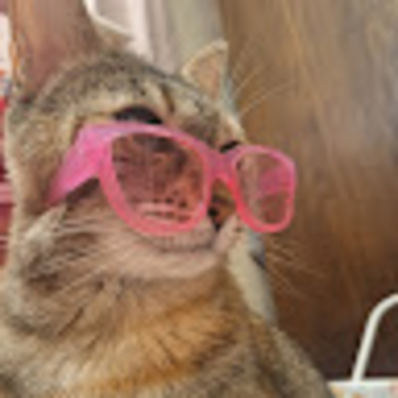 Meet your Posher, Family - Picture 1 of 1